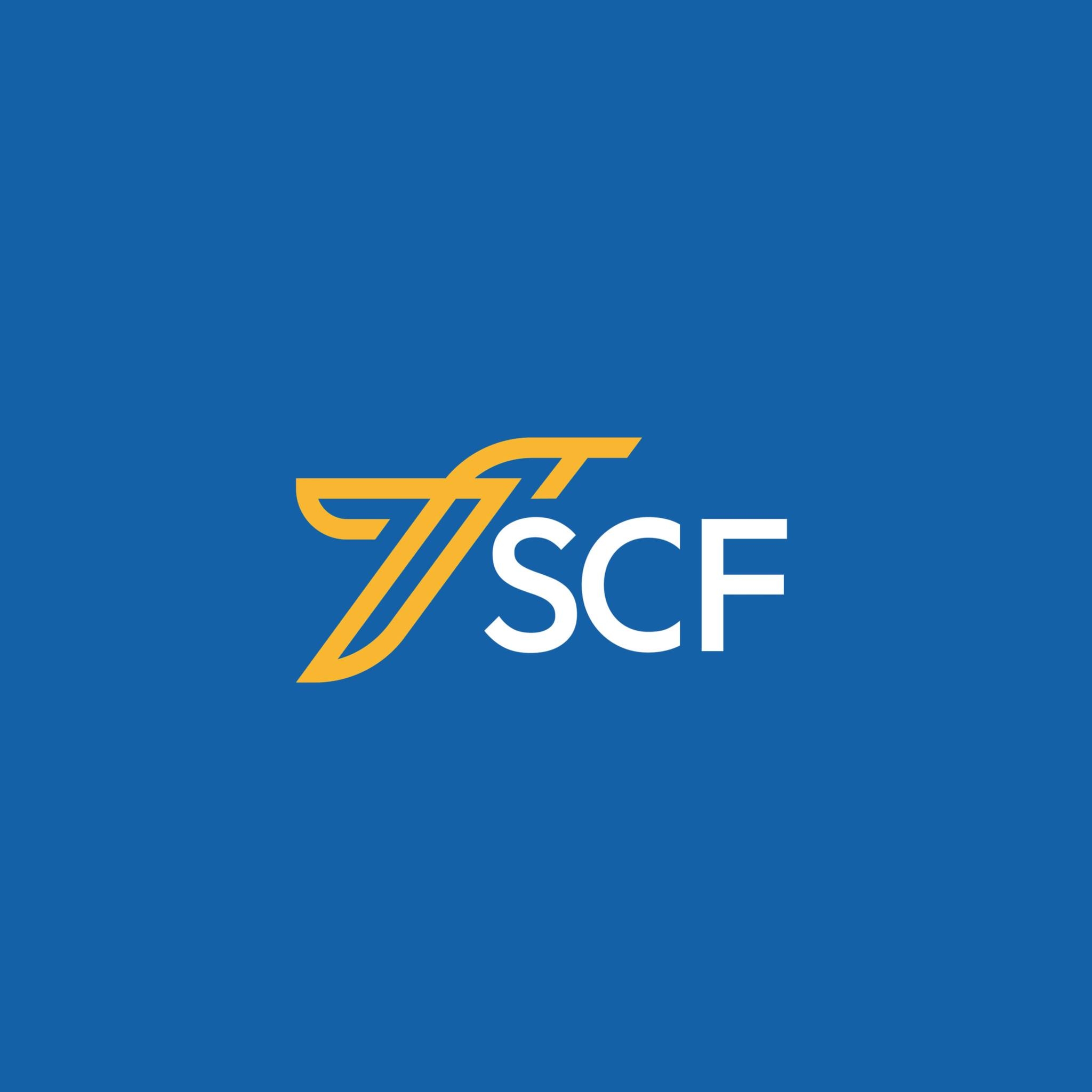 Logo Social Change Factory